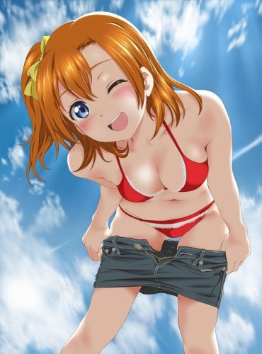 Footworship "Love Live 31 Photos" Kosaka Honoka Idol Swimsuit Image Summary Friend