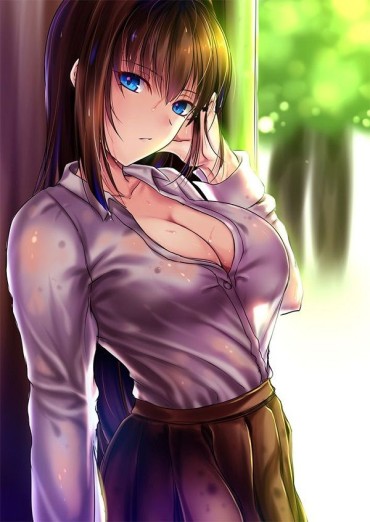 Femdom Pov 【Erotic Anime Summary】 And Underwear Become Drenched And Skimpy Beauties And Beautiful Girls 【Secondary Erotica】 Men