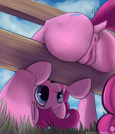 Panty Artist_sodiav – Tags – Derpibooru – My Little Pony_ Friendship Is Magic Imageboard Closeups