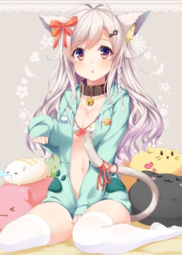 Prostitute [2nd] Cute Second Erotic Image Of Cat-eared Daughter Wants To Be Spoiled [cat Ears] Cum In Pussy