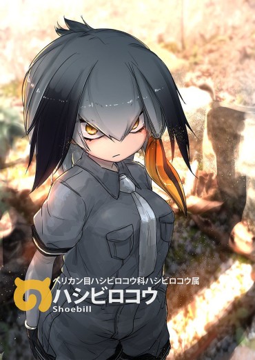 18yearsold [2nd] [Beasts Friends] Cute Secondary Image Of Shoebill-chan [Beasts Friends, Non-erotic] Amatures Gone Wild