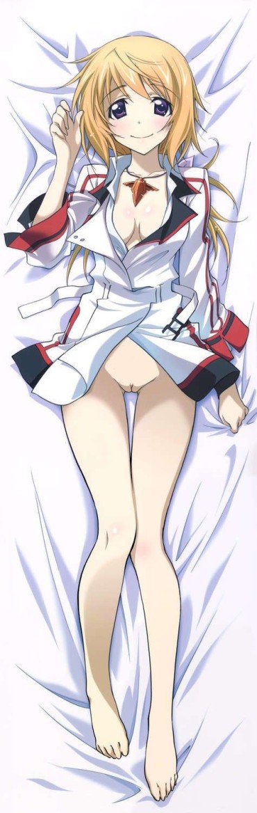 Horny Slut [Dakimakura] Image Of The Erotic Two-dimensional Pillow Cover Anime Game System Part 40 Assgape