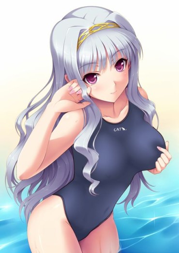 European [61 Pieces] Erofeci Image Of A Two-dimensional Swimsuit Girl. 3 Fat Ass