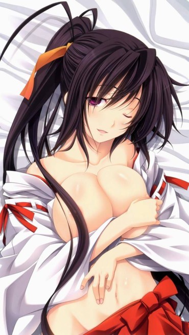 Busty It Looks Neat And Clean And Is Actually Moody!? The Second Erotic Image Roundup Of The Miko-san Wwww Sexy