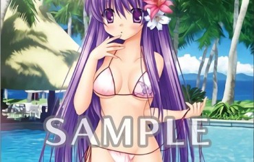 Picked Up Clannad And Swimsuit Illustrations Of Erotic Half Of The Girls In The Shop Benefits Of The PS4 Edition Perrito