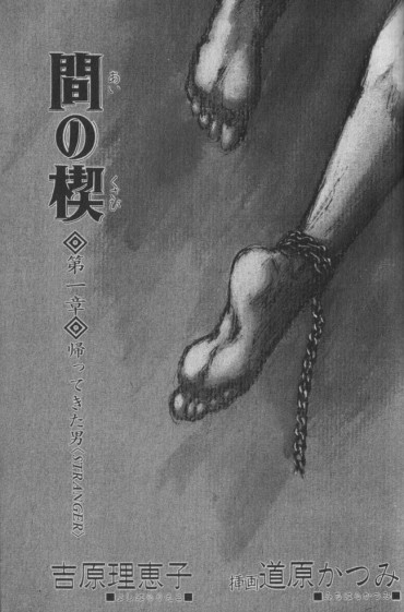 Grosso Ai No Kusabi [Novel Illustrations] [Katsumi Michihara] 間の楔 Gozo