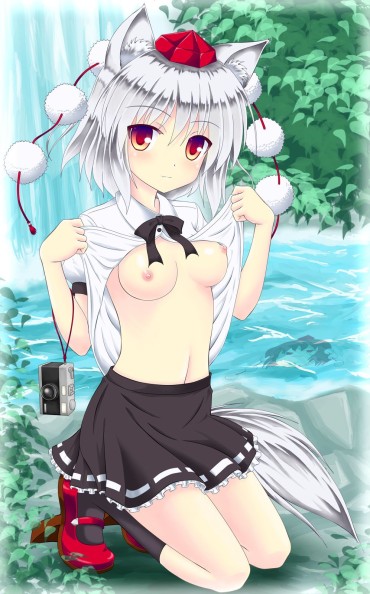 French Porn 【Touhou Project】Erotic Image Of Inu Ran Bowl! Part4 Juggs