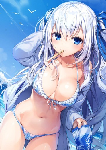 Interacial [Secondary] Swimsuit Girl Total Thread 4 Zorra