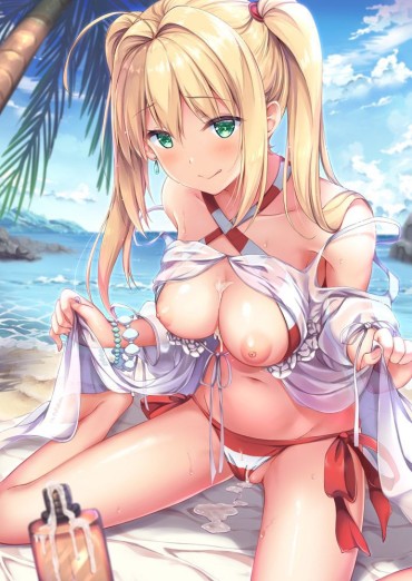 Gay Physicalexamination Secondary】 Fate/Grand Order (Fate/EXTRA-CCC), Nero Claudius Aii Image Summary! No.13 [20 Sheets] From