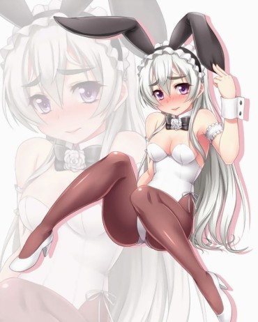 Teasing [Bunny Girl H Image] Girl Of The Whip Body Figure Of Bunny Girl Wearing The Rabbit Ear ♥ [secondary Image .cos] Ngentot