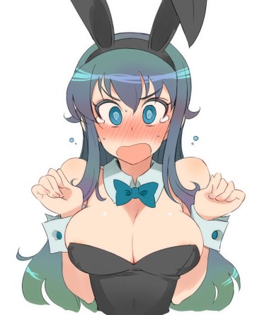 Round Ass Second Daughter Image Became A Bunny Girl Figure Of Mechasicoelochos Representative Polla