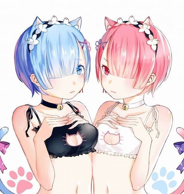 Doll [Re: Zero 31 Pieces] Twin Maid, Small Erotic CG Image Collection Of Lam Rem Close Up
