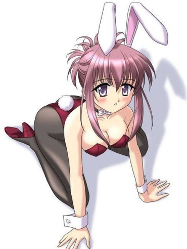 Black Cock You Want To See A Naughty Picture Of A Bunny Girl? Gay Cock