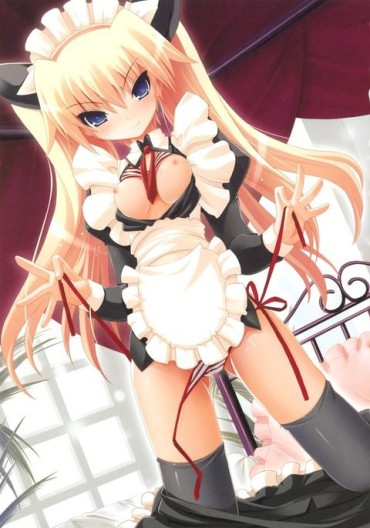 Mature Woman 【Erotic Anime Summary】 Beauty And Beautiful Girls In Maid Clothes Will Serve You A Good Job [40 Images] Adult