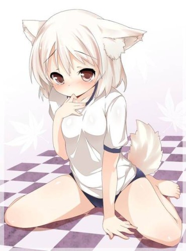Flagra [57 Pieces] Two-dimensional Erofeci Image Collection Of Mimi Daughter! 10 [Animal Ears] Teenage