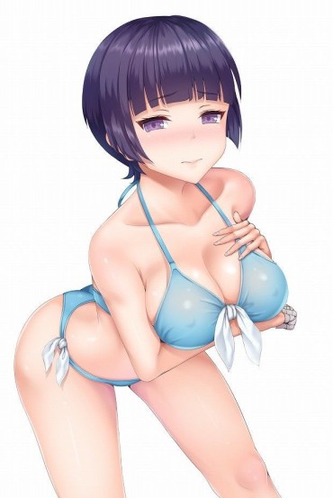 Banheiro [Comics Sensei 31 Pieces] Senju-mura Erotic Swimsuit Image Summary Butt Fuck