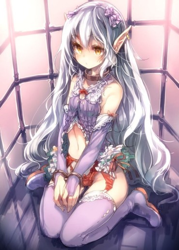 T Girl The Second Erotic Image Collection Of The Divine Silver-haired Girls Phat
