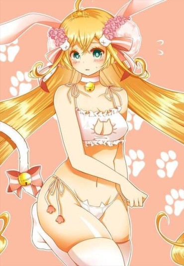 Pau [White Cat Project] Tsukimi-chan's Secondary Erotic Image!! One Hermosa