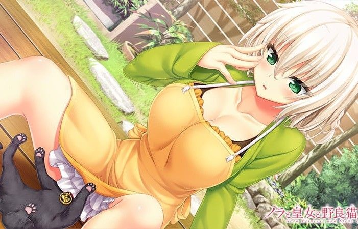 Pussy Eating PSVita Edition [Nora And Princess And Stray Cats Heart] This Erotic Swimsuit And Other Illustrations Of The Woman In The Store Benefits Shower