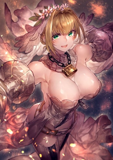 Tesao [the Second] There Are Fate/Grand Order(Fate/EXTRA-CCC), Love Of Nero Claudius, And Gather Up An Image; No. 01 [20 Pieces]! Piss