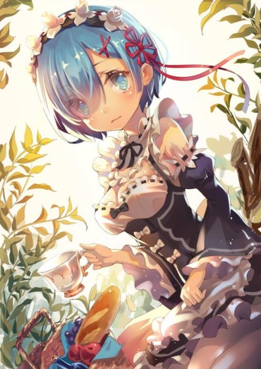Forwomen [異世界生活 Which Re Begins From Zero] Put The Lamb Of The Twins Maid And A Too Beautiful Illustration Of The Rem Analfucking