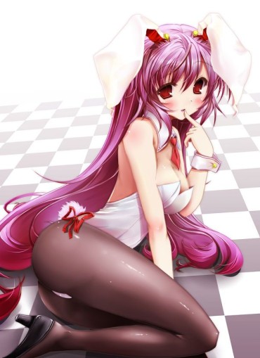 Amatoriale It Is 50 Pieces Of Bunny Suit うどんげの Images [on March 18 A Day Of Inaba] Yanks Featured