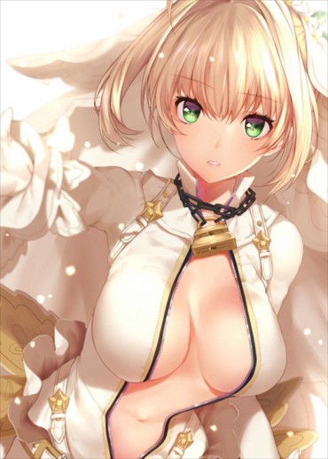 Game [rainbow Eroticism Image] [FateGO] サーヴァント Showing Cute Eroticism And Eroticism Image 45 Pieces | Which Wants To Do イチャコラ Part7 Doggy Style