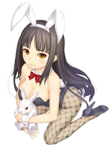 Homosexual [Net Tights: Two-dimensional Images Please Etch "Bunny Girls Day! Part7 Casa