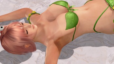 Panocha Plumbers Visit Diary Part2 [DOAX3 Play Diary: The Faint Pink