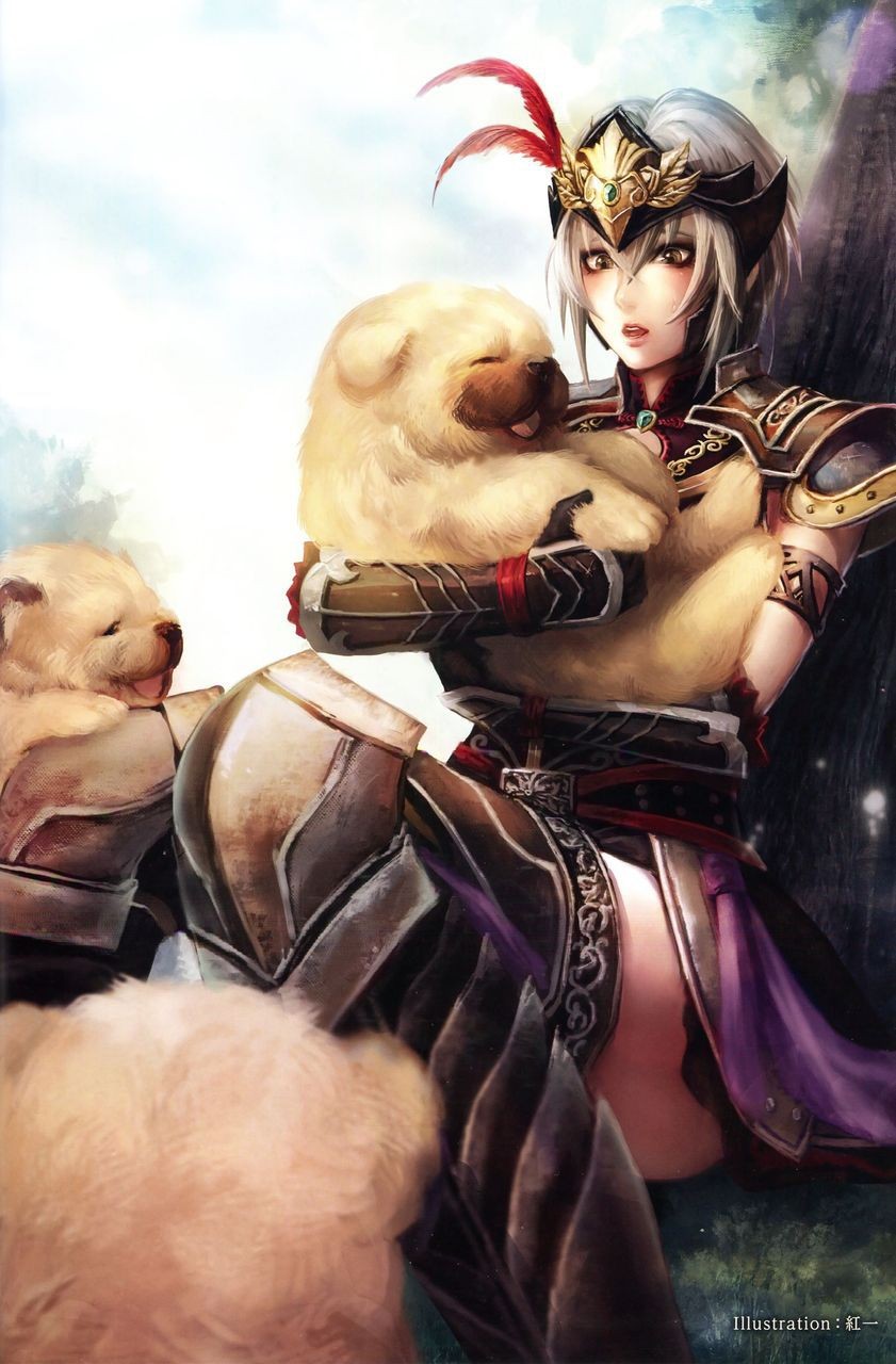 Tanga Dynasty Warriors 7 Lu Ling Qi Picture From Xtreme Legends Bigcock