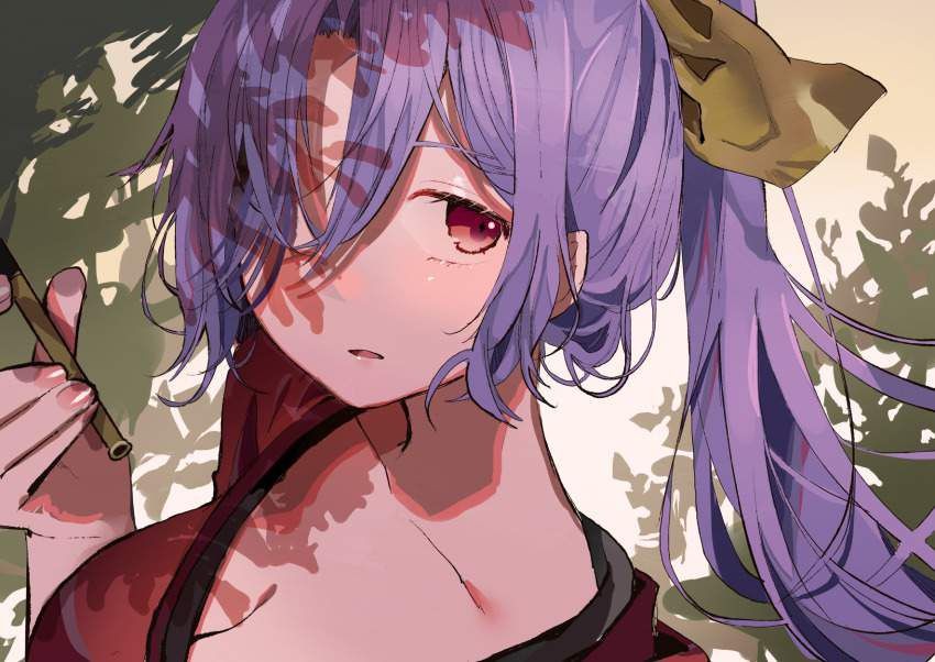 Chilena Release The Erotic Image Folder Of The Touhou Project Adolescente