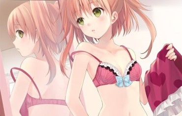 Spycam PS4 "Omega Quintet' Underwear With Bra And Panties Completely Exposed To View Store Benefits Drawn Illustrations! Point Of View