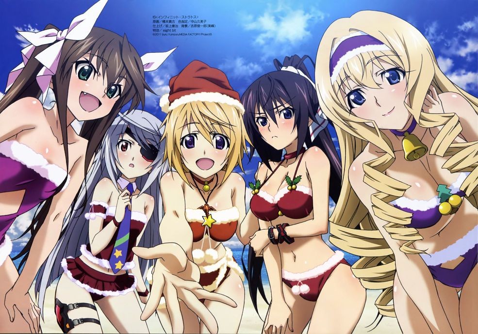 Ass Fucking 50 Images Infinitistratos Style