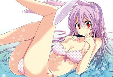 Real Amateurs [Touhou Project: Reisen &amp; Udongein Inaba (Ficus Racemosa) Erotic Image Part3 Grosso