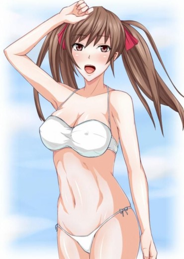 Shemales I Collected Erotic Images Of Valkyria On The Battlefield! Chupada