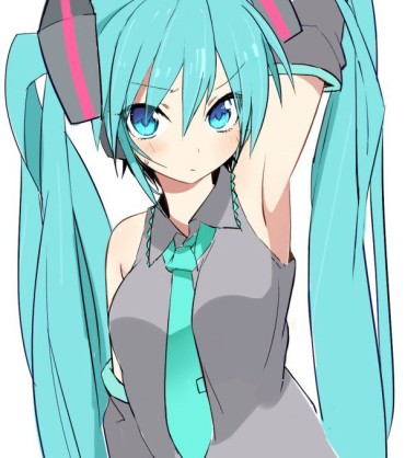 Head [Hatsune Miku] VOCALOID Picture Part7 [fine Erotic] Babysitter