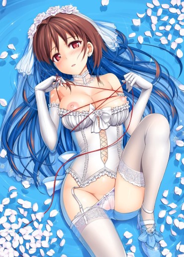 Suck Cock Too Beautiful Wedding Dress Up Bride And Honeymoon Naughty Picture Collection Part01 [secondary MoE Images] Dykes