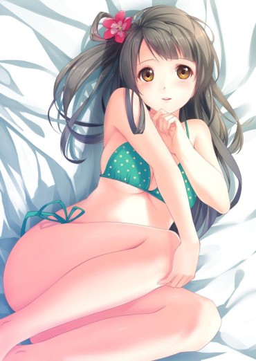 Letsdoeit Warm Fuzzy System Girl, South Kotori-Chan (live! ) Of Erotic Images Collected. Bareback