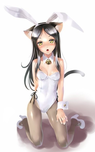 Sexy [Secondary] Cute Bunny Girl Outfit I'm Erotic Images One