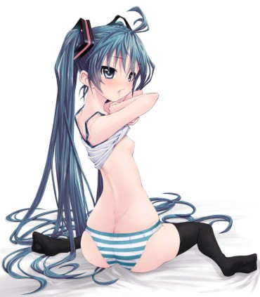 Oldvsyoung [Vocaloid] Hatsune Miku Hentai Picture 12 Class
