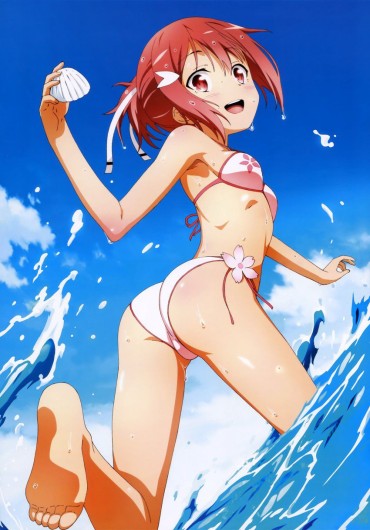 Straight Max30 Two-dimensional Swimsuit Picture Thread Chibola