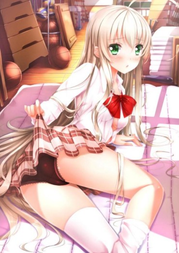 Pure 18 Crawl! Please Give Me An Erotic Image Of Nyaruko. Corno