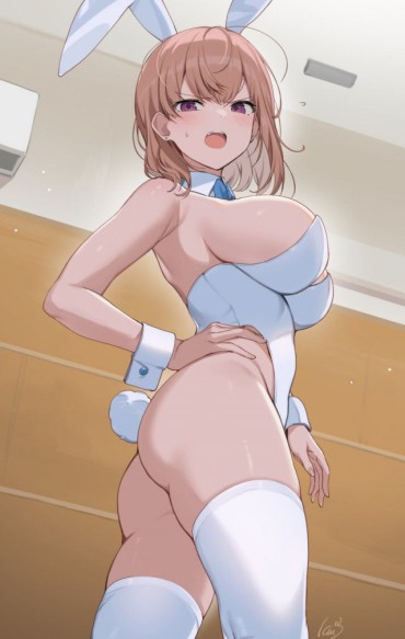 Matures Please Give Me A Secondary Image That Can Be Done With Bunny Girl! Roundass