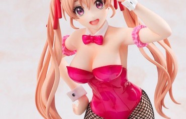Rough Sex Erotic Figure Of Erika Amano's Dicky And Ass Erotic Bunny Figure! Doggy Style Porn