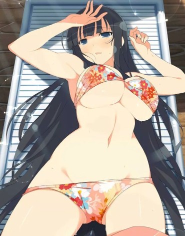 Breeding 【Secondary Erotic】 Here Is The Erotic Image Of The Characters Appearing In Senran Kagura Adorable